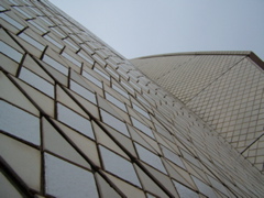 100_0060