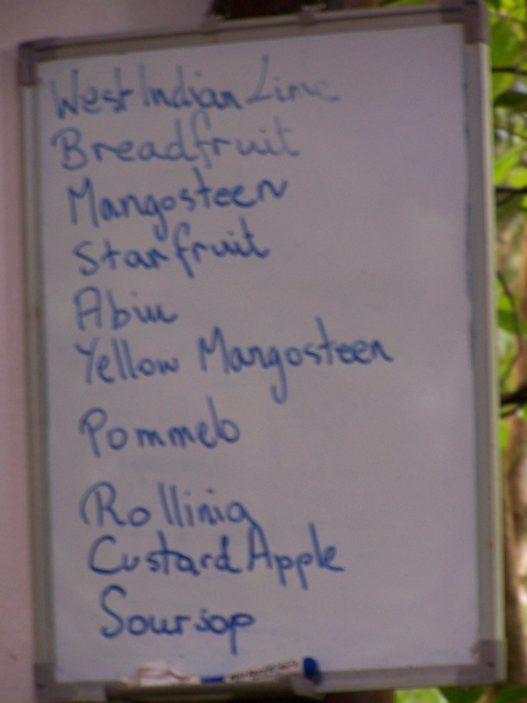 100_1634.JPG