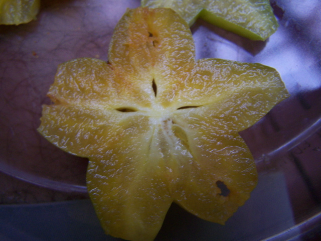 100_1642.JPG
