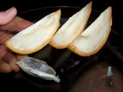 100_1648.JPG
