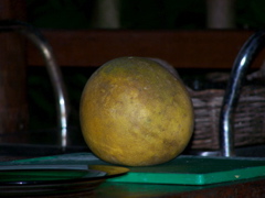 100_1656.JPG
