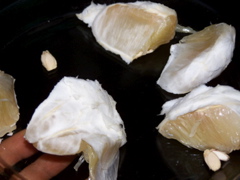 100_1658.JPG
