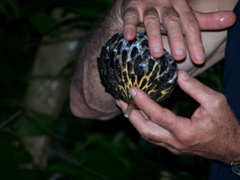 100_1660.JPG
