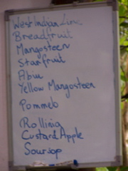 100_1634.JPG