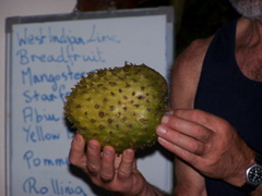 100_1665.JPG
