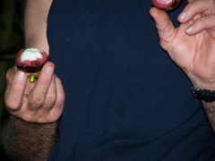 100_1637.JPG