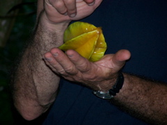 100_1640.JPG