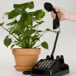 plants making phone calls