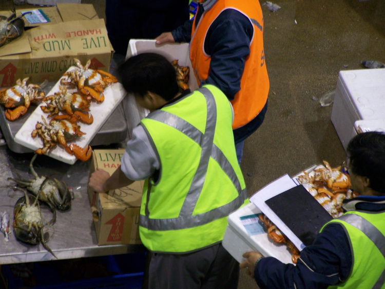 100_0483