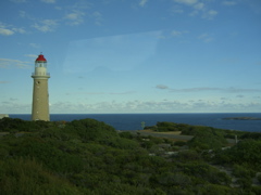 CIMG1711.JPG