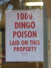 CIMG2327.JPG