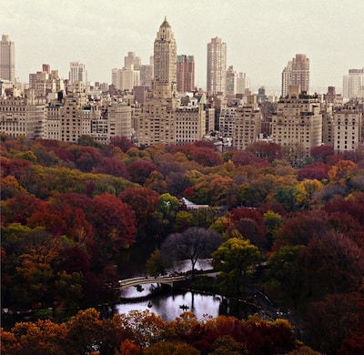 september_nyc